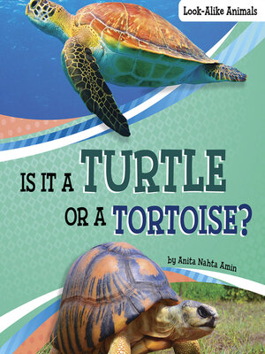 cover image of Is It a Turtle or a Tortoise?